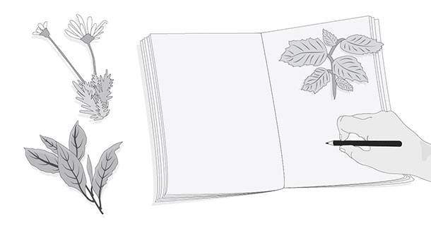 hojas de &aacute;rbol pegadas en un cuaderno junto a una mano que sostiene un l&aacute;piz para escribir