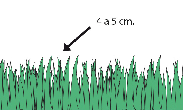 pasto de un jard&iacute;n con 4 a 5 cm de altura